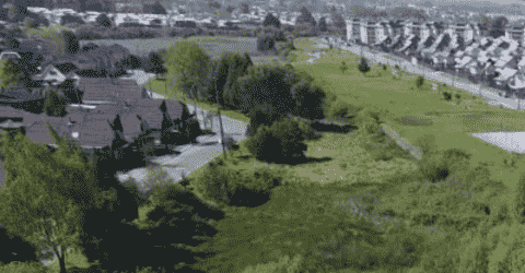 Diseño de una Gobernanza de Gestión