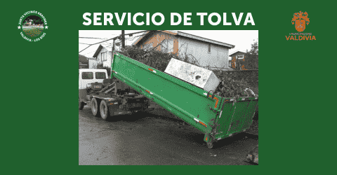 Servicio de Tolva 31 de enero 2026