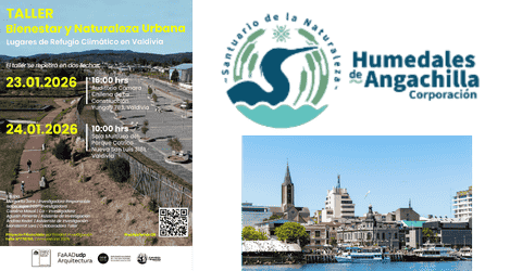 Taller bienestar y naturaleza urbana.