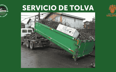 Servicio Tolva  mayo 2026